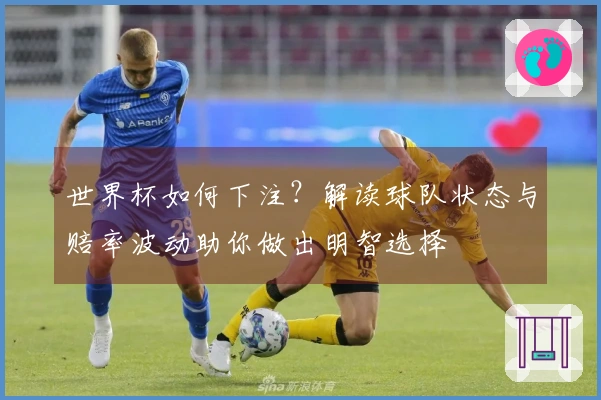 世界杯如何下注?解读球队状态与赔率波动助你做出明智选择