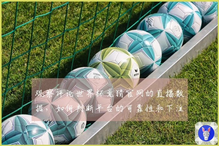 观察评论世界杯竞猜官网的直播数据,如何判断平台的可靠性和下注风险