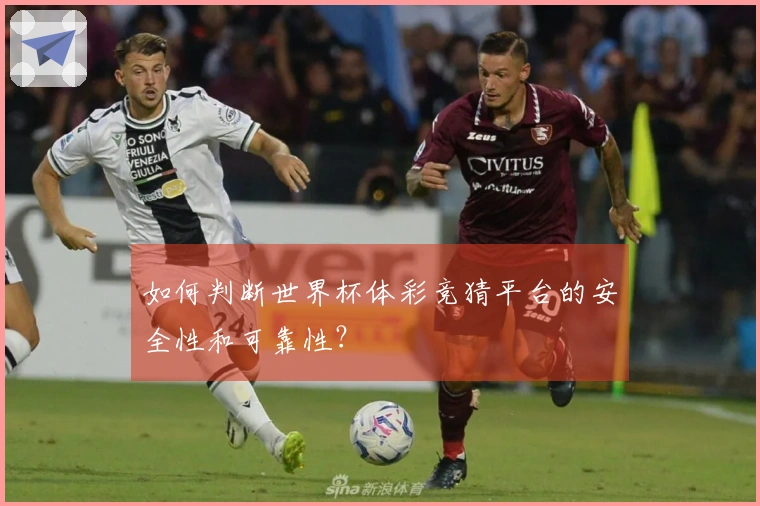 如何判断世界杯体彩竞猜平台的安全性和可靠性？