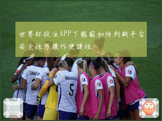 世界杯投注APP下载前如何判断平台安全性与操作便捷性